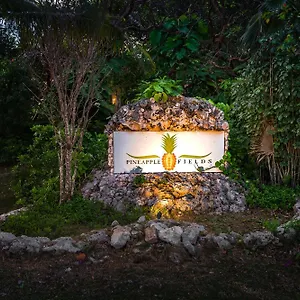 Aparthotel Pineapple Fields